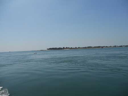 DSCN1413