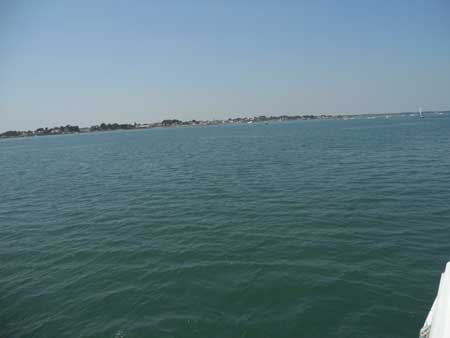 DSCN1419