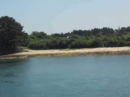DSCN1443
