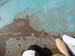 DSCN1316