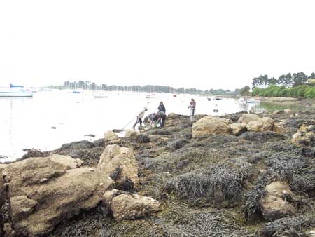 DSCN0575