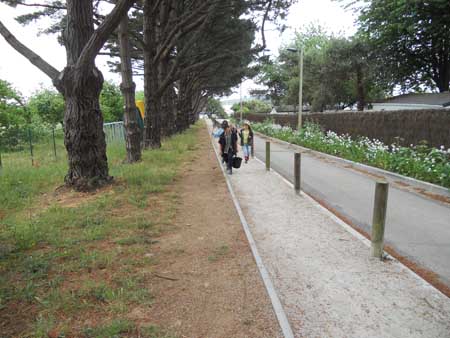 DSCN0601