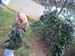 DSCN0605