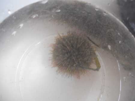 DSCN0666