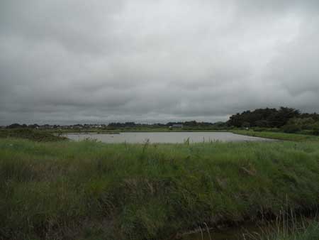 DSCN0701