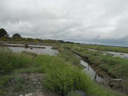 DSCN0731