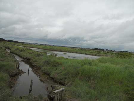 DSCN0732