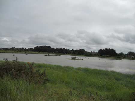 DSCN0754