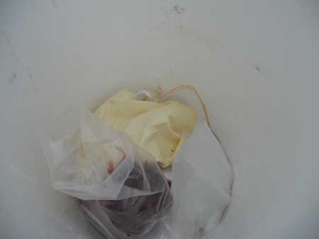 DSCN0787