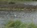 DSCN0744