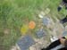 DSCN0762