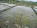DSCN0768