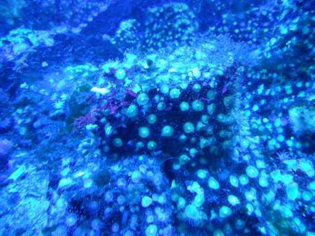 DSCN0991