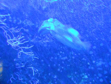 DSCN0992