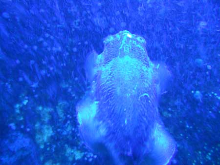 DSCN0994