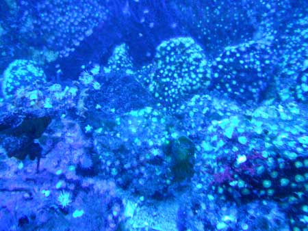 DSCN0998
