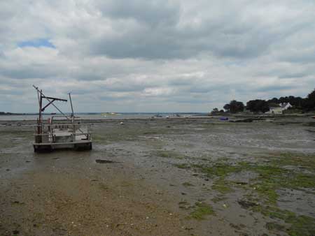 DSCN1152