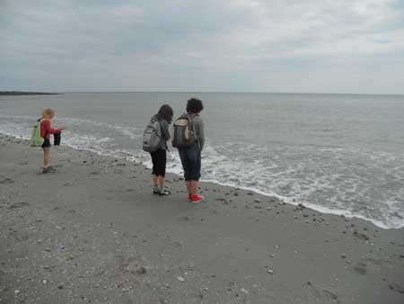 DSCN1238