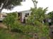 DSCN1184