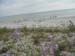 DSCN1253